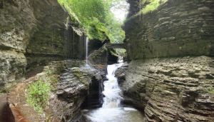Watkins Glen